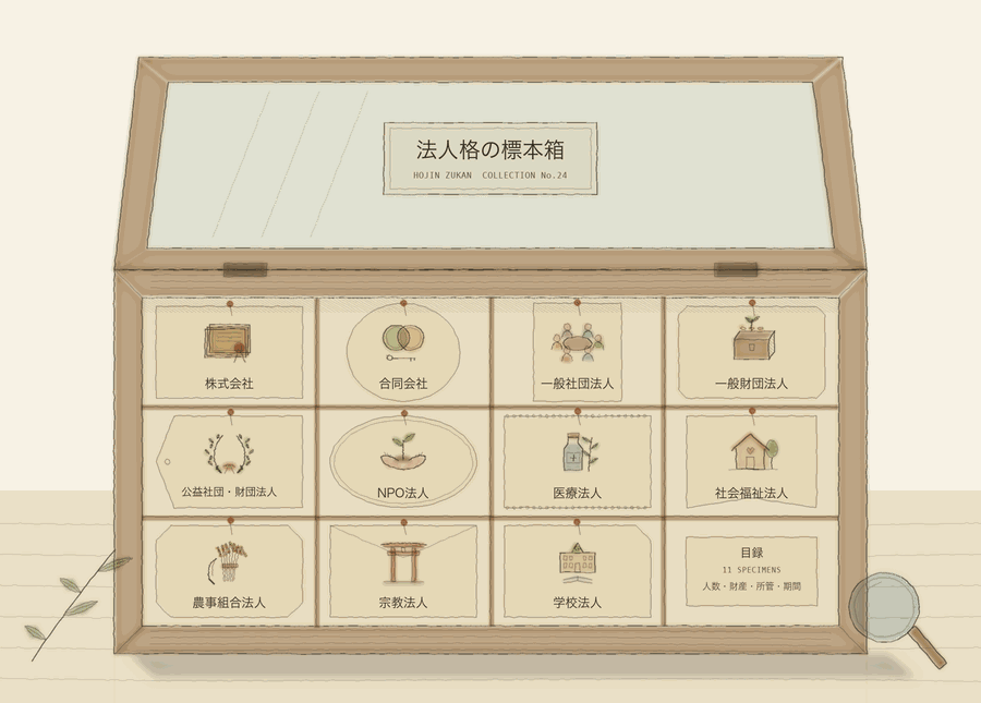 蓋を開けた法人格の標本箱。株式会社・合同会社・一般社団法人・一般財団法人・NPO法人・医療法人・社会福祉法人・農事組合法人・宗教法人・学校法人の名札が升目に並ぶ