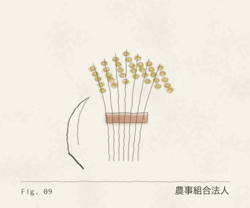 農事組合法人の標本図（稲の束と鎌）