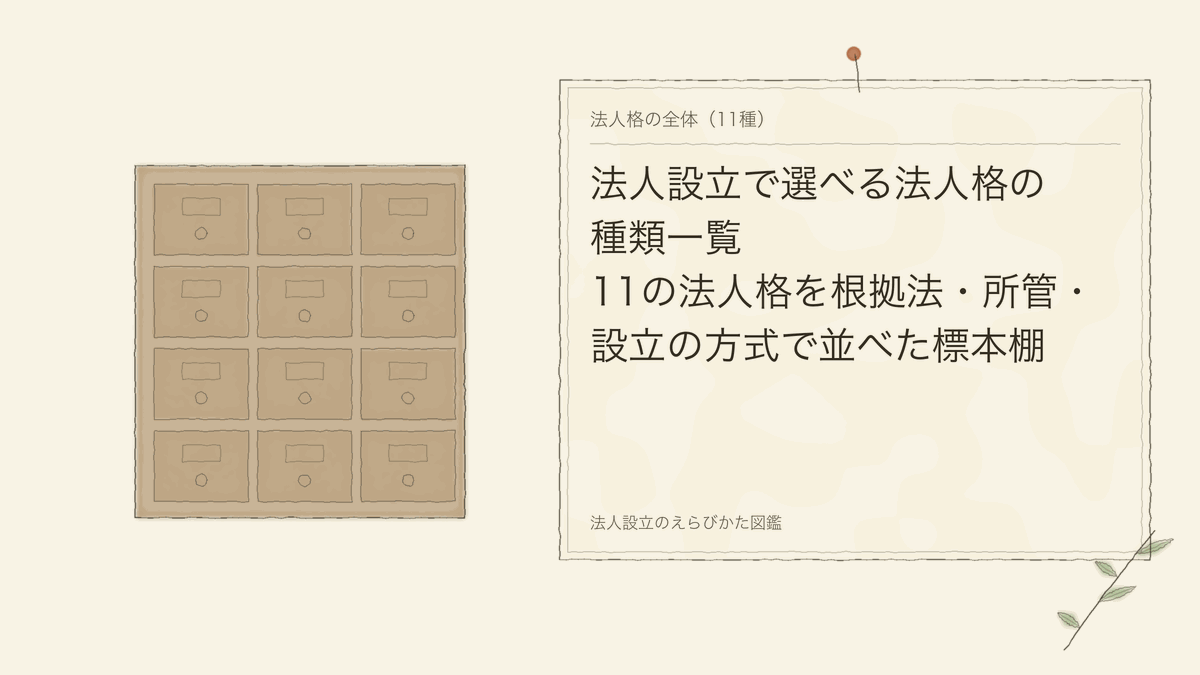 法人設立で選べる法人格の種類一覧｜11の法人格を根拠法・所管・設立の方式で並べた標本棚