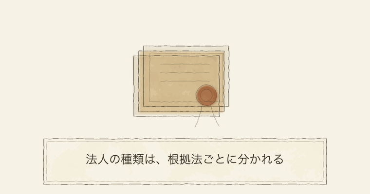 法人の種類は、根拠法ごとに分かれる