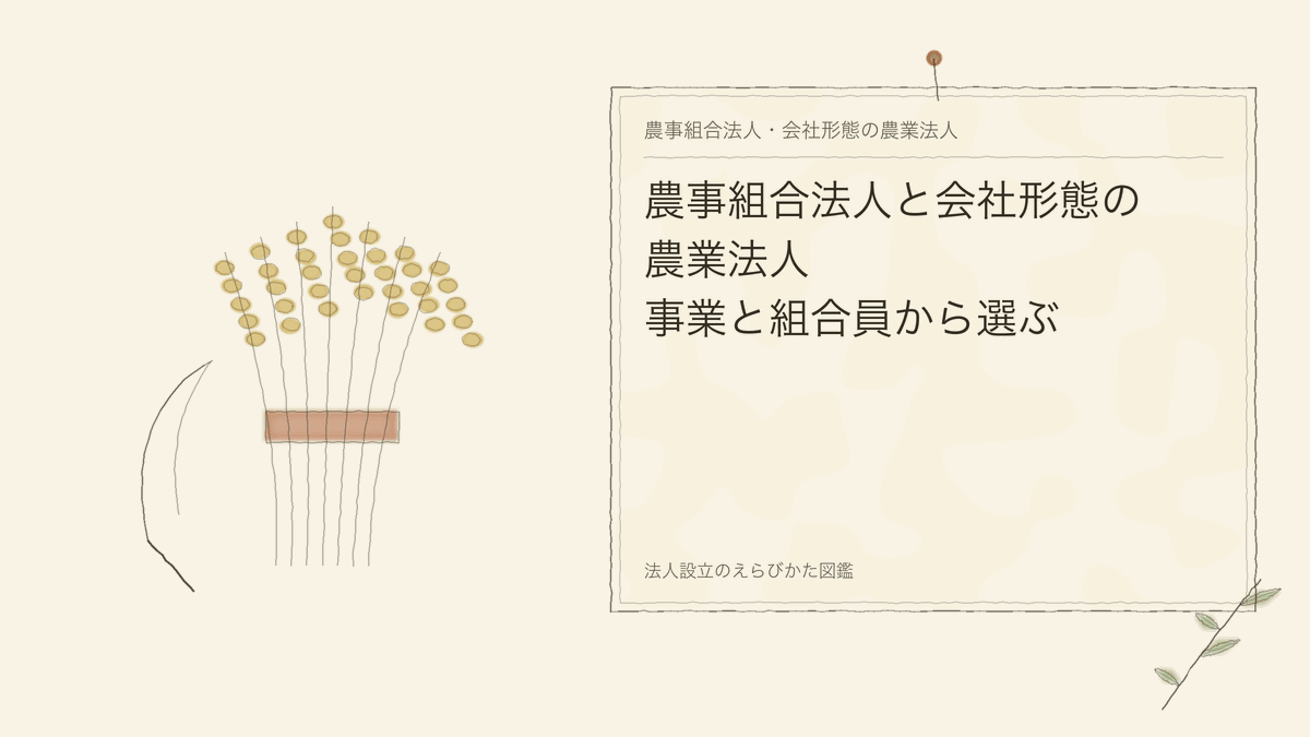 農事組合法人と会社形態の農業法人｜事業と組合員から選ぶ